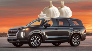 The Hyundai Palisade Literally Stinks: Owners